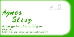 agnes slisz business card